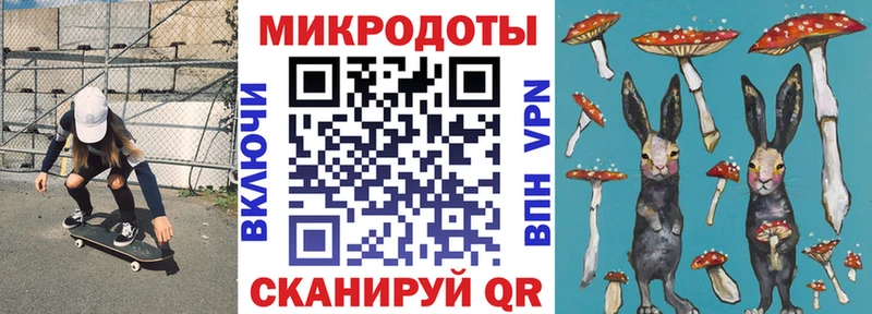 наркотики Бабаево Псилоцибиновые грибы ЛСД